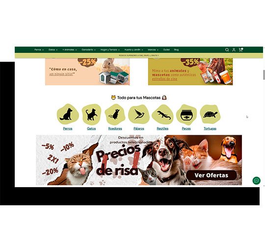 Diseño de una web SEO optimizada y mejora en UX/UI Colaboré con un diseñador para alinear el diseño visual con los objetivos de SEO y conversión. Se mejoró la usabilidad móvil y la claridad en la navegación, facilitando que el usuario encuentre productos rápidamente y optimizando el rendimiento de búsqueda interno, especialmente con la herramienta Doofinder.