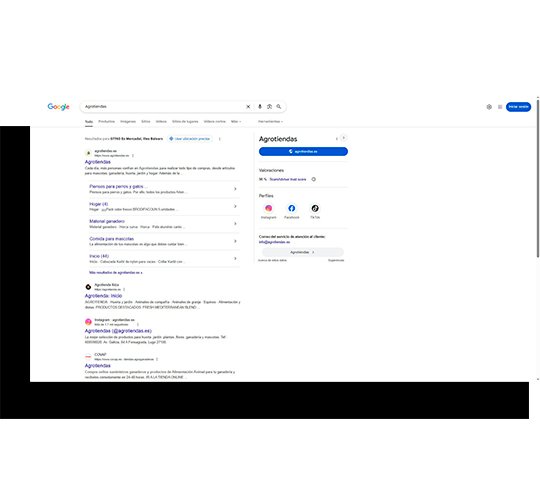 Estudio del mercado y la competencia Analicé en profundidad el sector agrícola y ganadero online, identificando competidores directos y marketplaces relevantes. Esto nos permitió detectar oportunidades clave para posicionar verticales poco explotadas y definir una estrategia SEO enfocada en las principales verticales y categorías del catálogo.