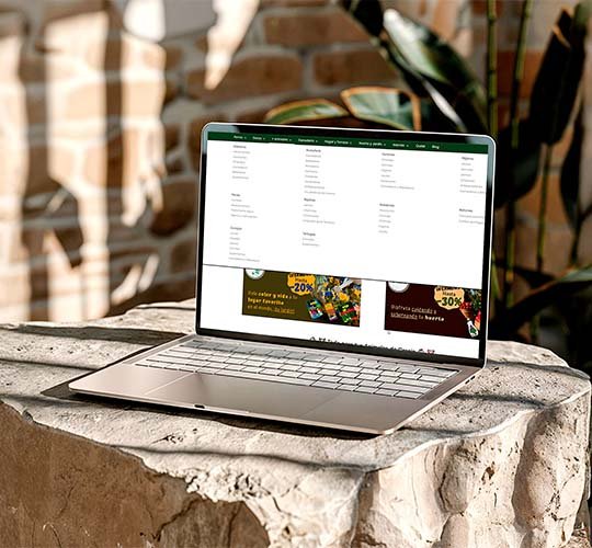 Organización del catálogo y de la arquitectura de la información Reestructuré completamente el catálogo, agrupando productos en categorías coherentes optimizadas con SEO y eliminando duplicidades. Esta organización mejoró la gestión interna en Shopify y creó una arquitectura web limpia y optimizada para el SEO, escalable, y facilitando que cada URL cumpla un propósito claro y relevante.